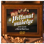 muhelydvdbor